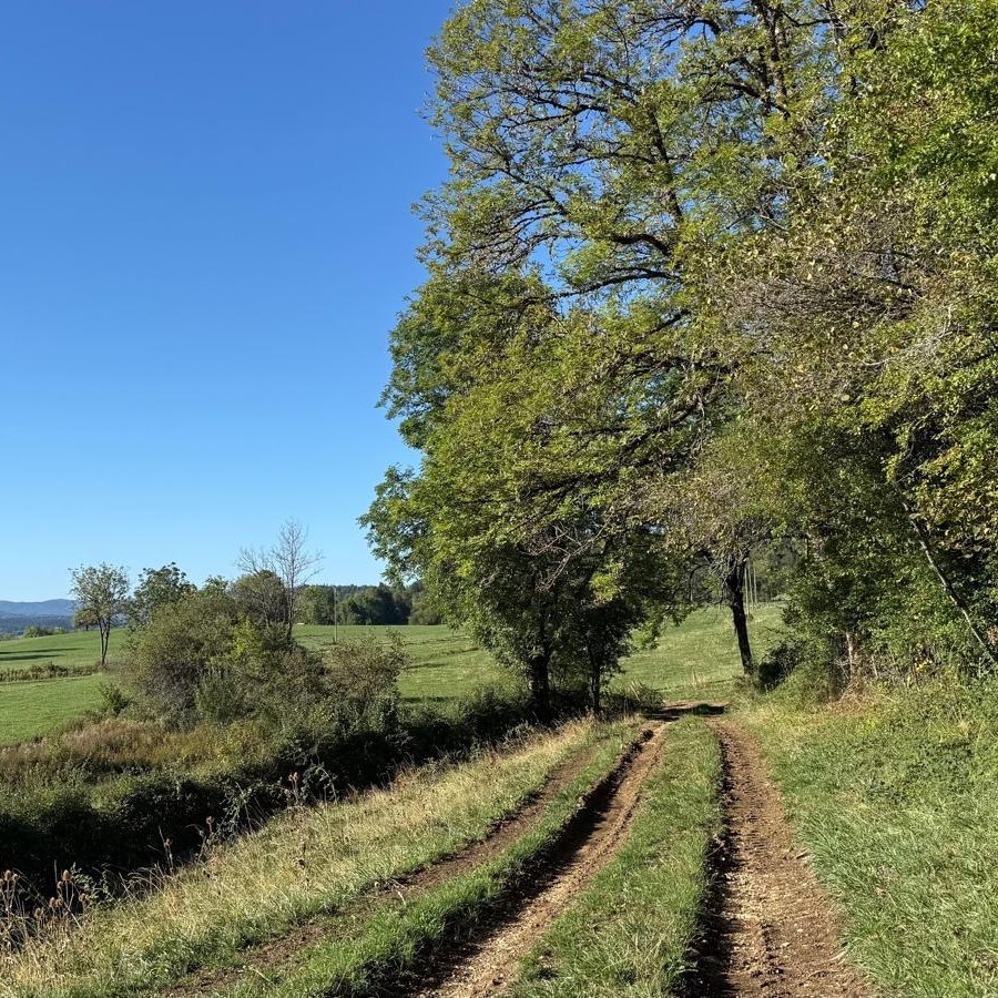 La forêt environnante — Le Jardin d'Éveil
