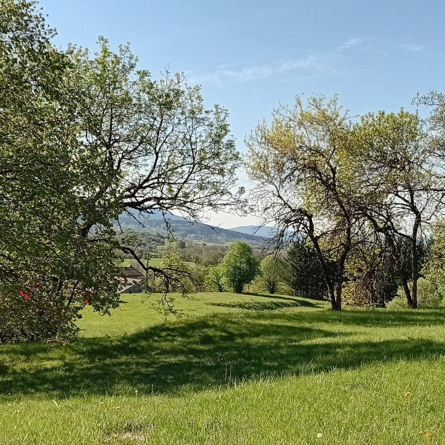 Le jardin — Le Jardin d'Éveil